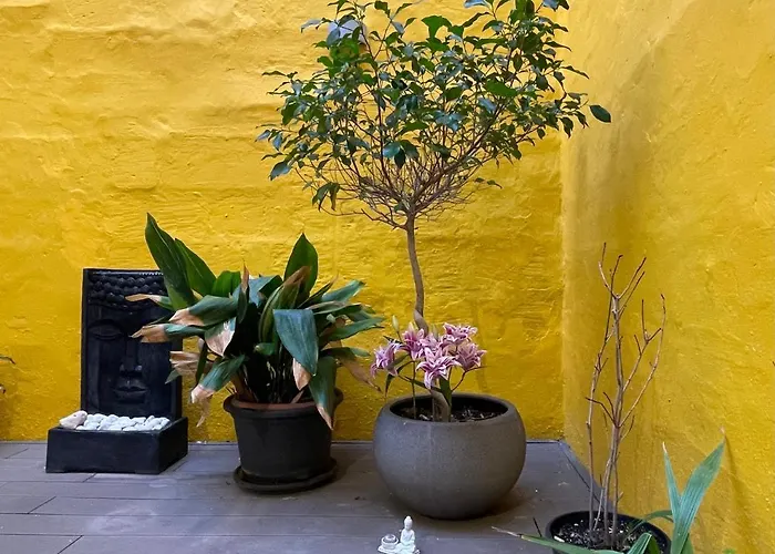 Collection - Merchant Str With Large Yard Apartament