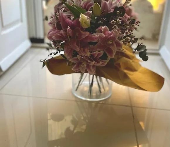 Collection - Merchant Str With Large Yard Apartament Valletta