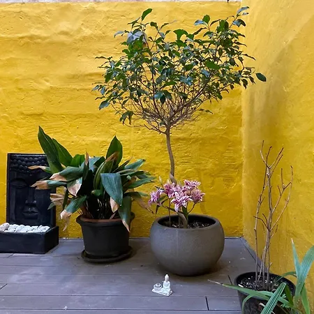 Collection - Merchant Str With Large Yard Apartament