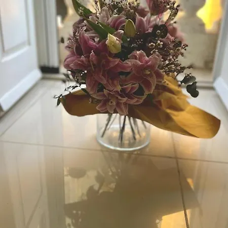 Collection - Merchant Str With Large Yard Appartement La Valette